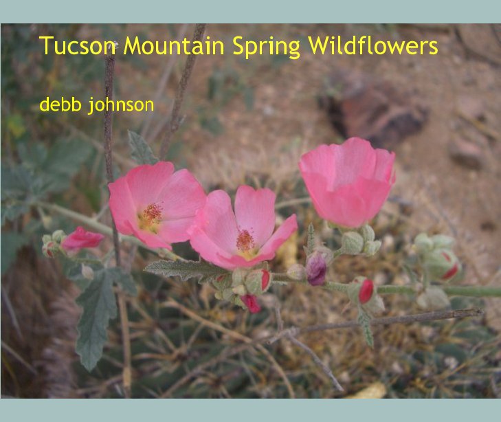View Tucson Mountain Spring Wildflowers by debb johnson