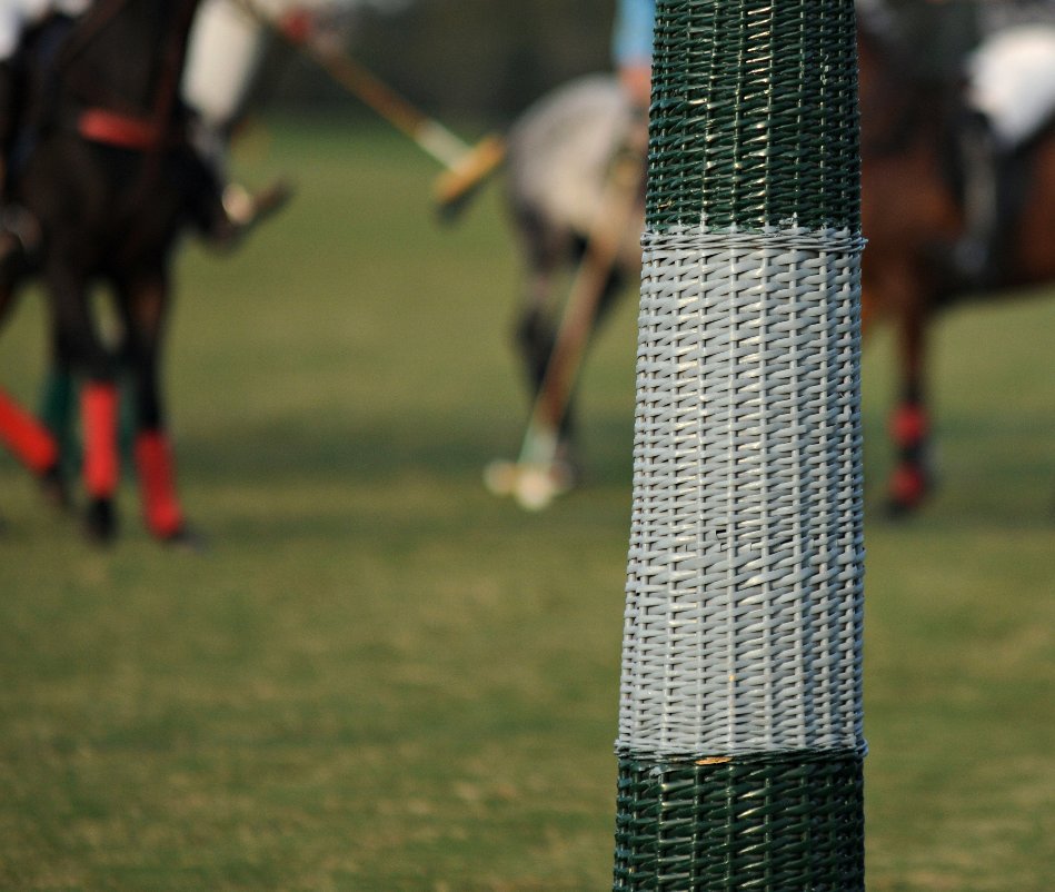 View AIKEN POLO by CECILIA STEEL