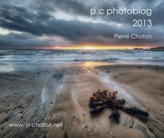 p.c photoblog 2013 book cover
