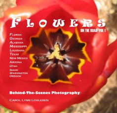 Flowers On The Road: VOL 1 book cover