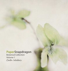 Paper Snapdragon Botanical Collection book cover