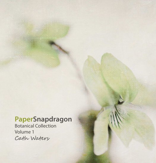 View Paper Snapdragon Botanical Collection by Cath Waters