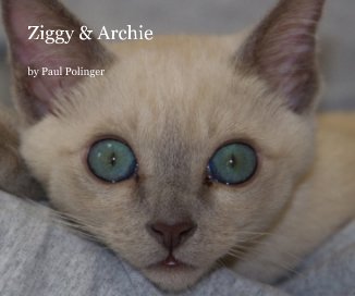 Ziggy & Archie book cover