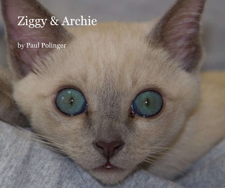 Ver Ziggy & Archie por Paul Polinger