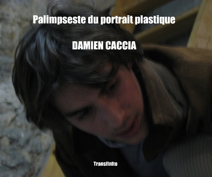 View Palimpseste du portrait plastique by DAMIEN CACCIA
