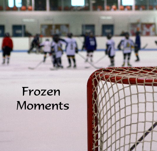 View Frozen Moments by Larry Hussey