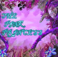 THE PINK PRINCESS book cover