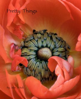Pretty Things book cover
