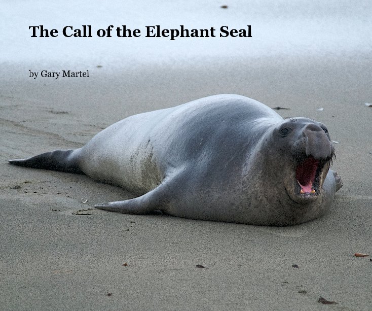 View The Call of the Elephant Seal by Gary Martel