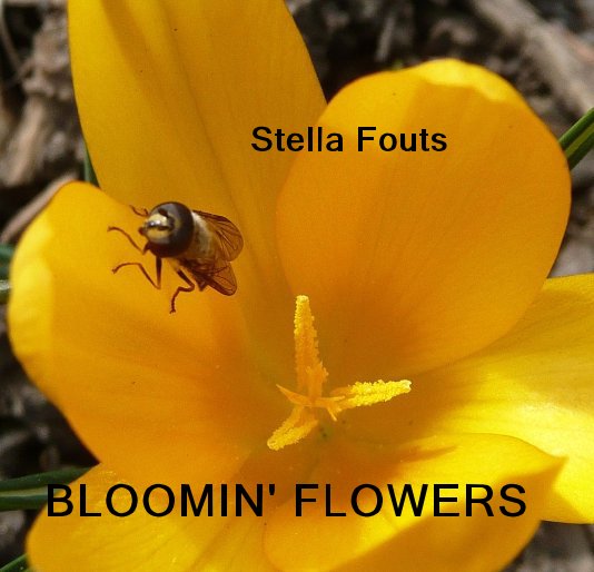 View BLOOMIN' FLOWERS by Stella Fouts