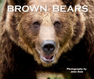 Brown Bears book cover