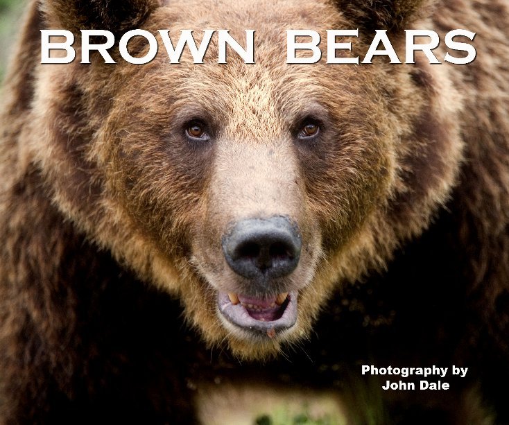 View Brown Bears by John Dale