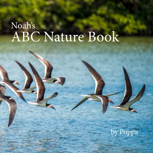 Noah's ABC Nature Book nach Popa anzeigen