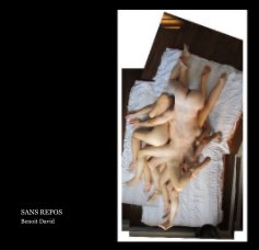 SANS REPOS book cover