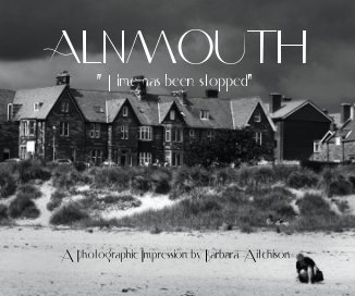 ALNMOUTH book cover