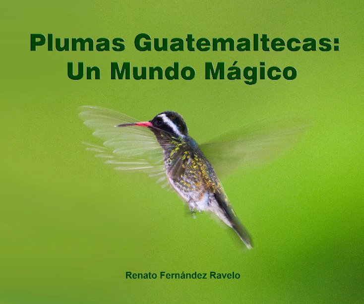 View Plumas Guatemaltecas by Renato Fernandez