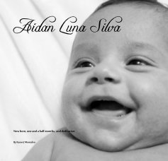 Aidan Luna Silva book cover