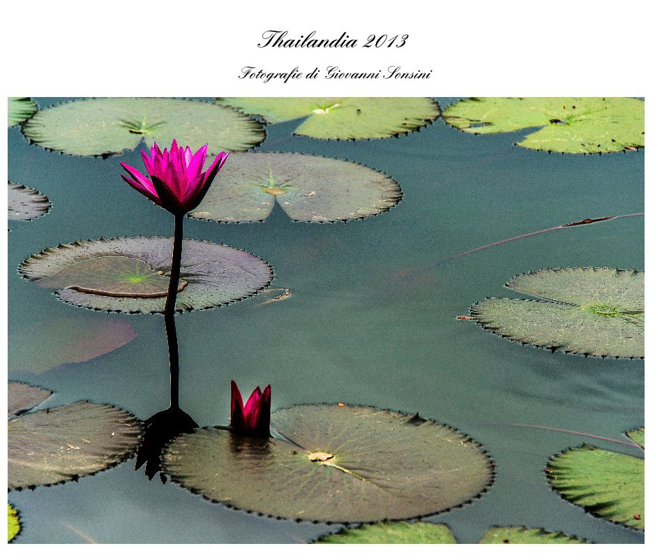 Ver Thailandia 2013 por Fotografie di Giovanni Sonsini