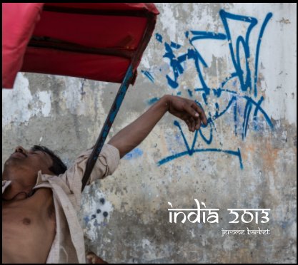 India - 2013 book cover