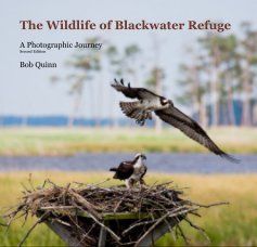 The Wildlife of Blackwater Refuge book cover