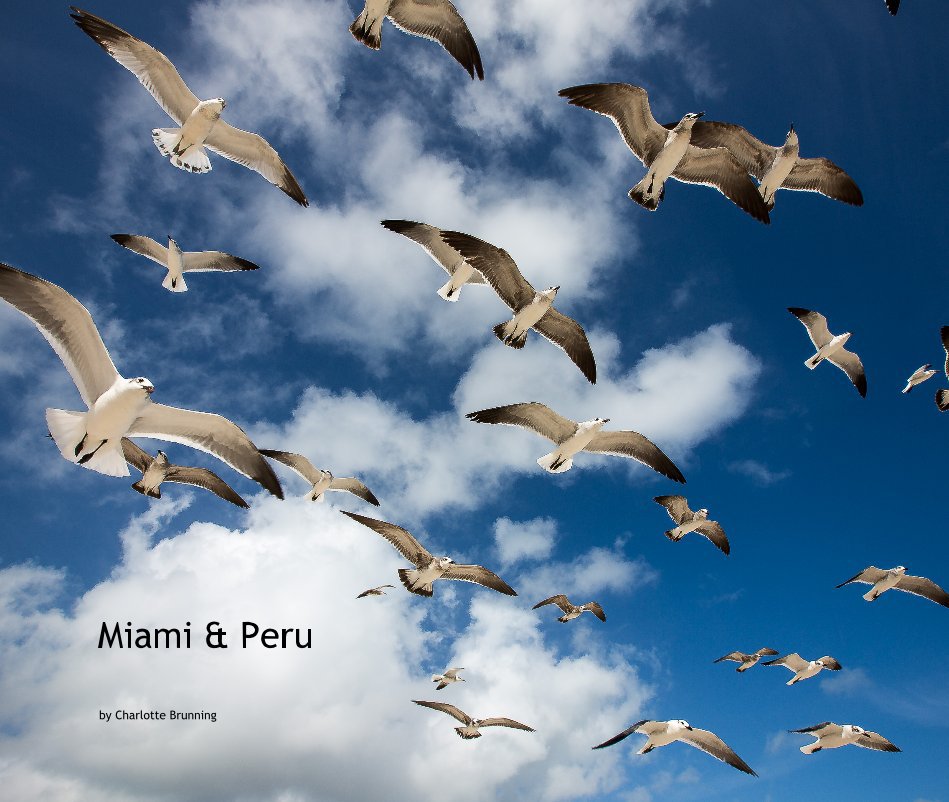 View Miami & Peru by Charlotte Brunning