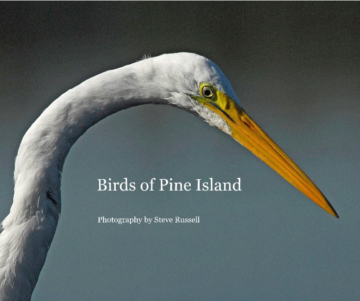View Birds of Pine Island by Photography by Steve Russell