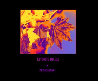 FAVORITE IMAGES book cover