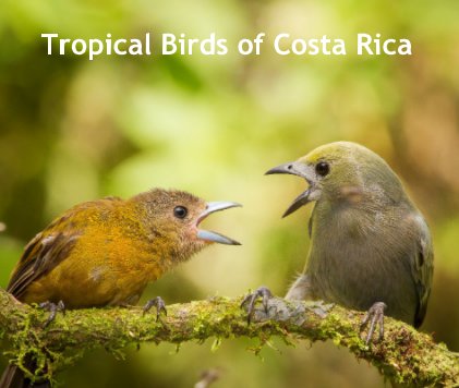 Tropical Birds of Costa Rica book cover