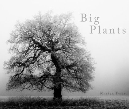 Big Plants book cover