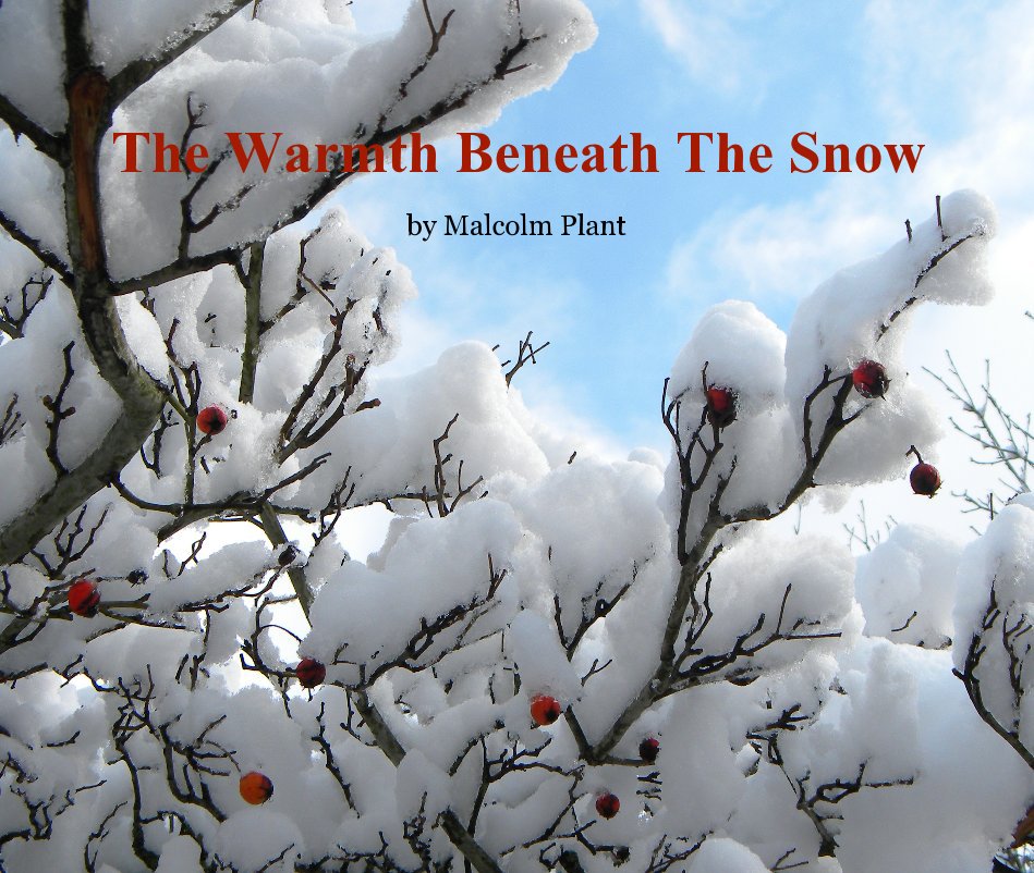 View The Warmth Beneath The Snow by Malcolm Plant