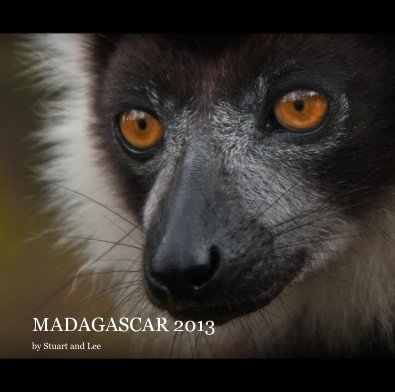 Madagascar 2013 book cover