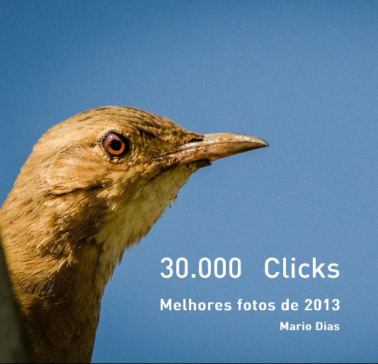 View 30.000 Clicks by Mario Dias