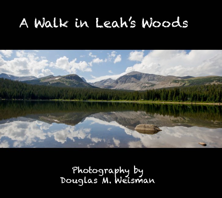 View A Walk in Leah's Woods by Doug Weisman