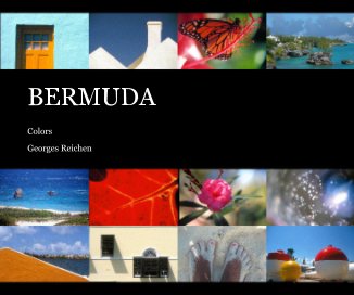 BERMUDA book cover