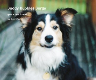 Buddy Bubbles Burge book cover