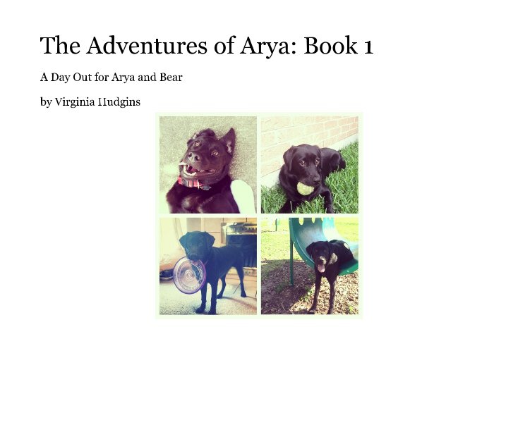 View The Adventures of Arya: Book 1 by Virginia Hudgins