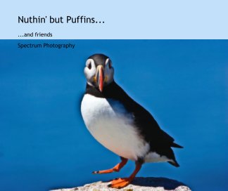 Nuthin' but Puffins... book cover