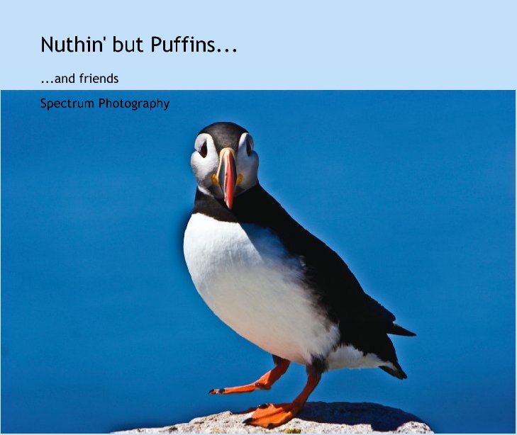 Ver Nuthin' but Puffins... por Spectrum Photography