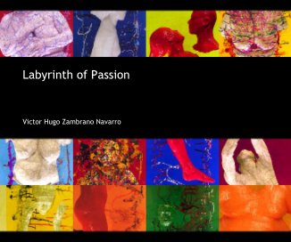 Labyrinth of Passion book cover