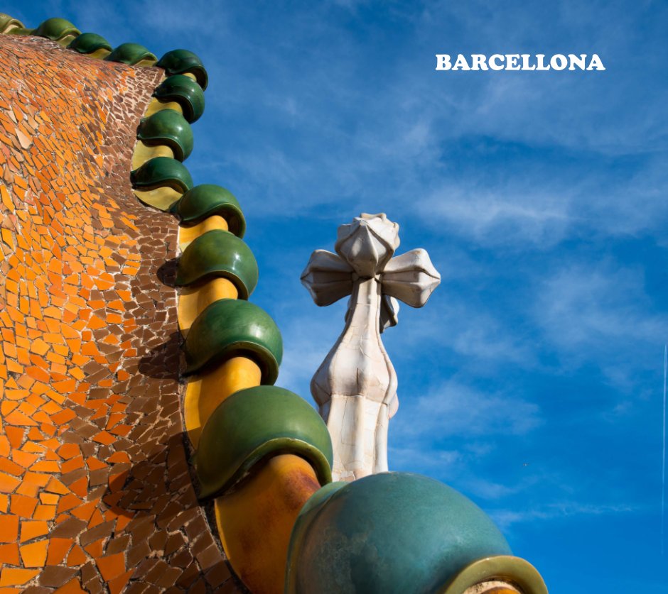 View Barcellona by Andrea Del Monte