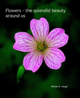 Flowers - the splendid beauty around us book cover