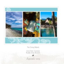 Curacao and Bonaire (7x7 Softcover) book cover