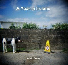 A Year in Ireland book cover