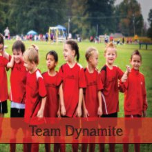 Team Dynamite book cover