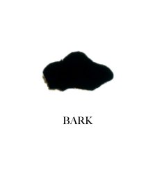 BARK book cover