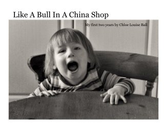 Like A Bull In A China Shop book cover