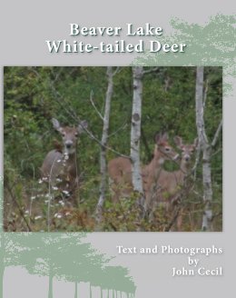 Beaver Lake White-tailed Deer book cover