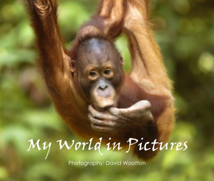 My World in Pictures Photography: David Wootton book cover