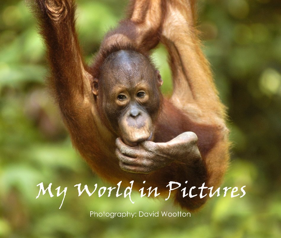 Ver My World in Pictures Photography: David Wootton por David Wootton