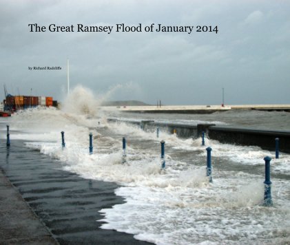 The Great Ramsey Flood of January 2014 book cover